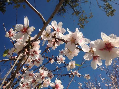 Hostal Cortijo Berruguilla Casa Rural