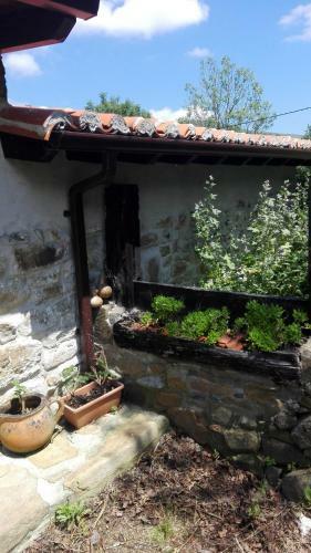 Albergue De Soba