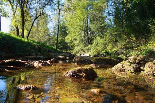 Agroturismo Can Torrotes