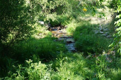 Agroturismo Rinc�n Del Arroyo