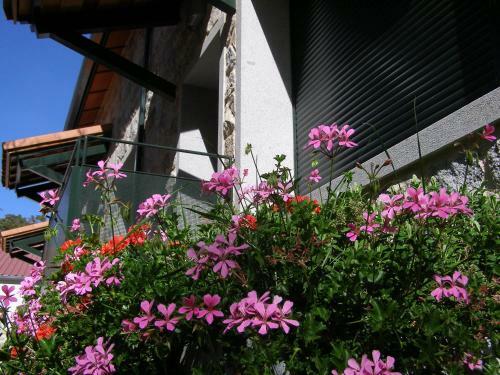 Agroturismo Rinc�n Del Arroyo