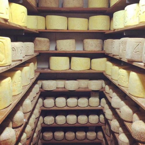 Discover Bruny Island Holiday Accommodation