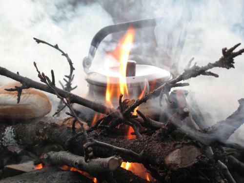 Lyngen Havfiske Og Tursenter