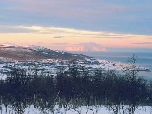 Lyngen Havfiske Og Tursenter