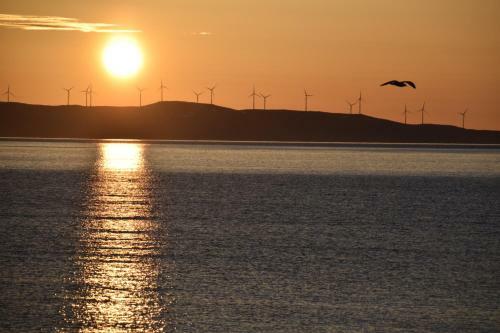 Lyngen Havfiske Og Tursenter