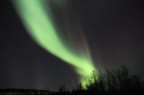 Lyngen Havfiske Og Tursenter