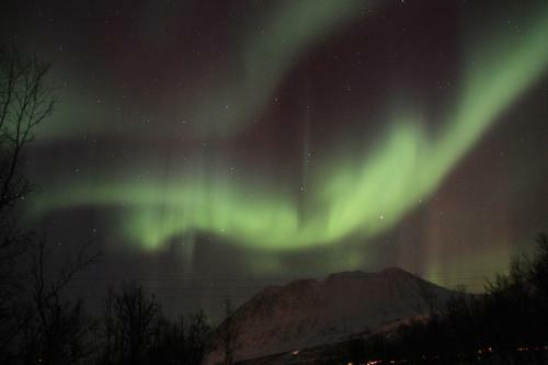 Lyngen Havfiske Og Tursenter