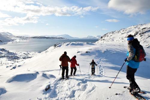Lyngen Havfiske Og Tursenter