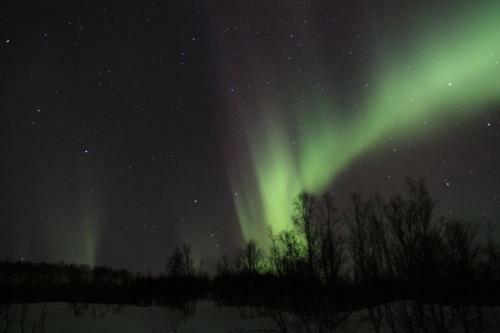 Lyngen Havfiske Og Tursenter