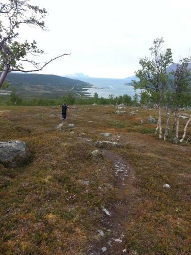 Lyngen Havfiske Og Tursenter
