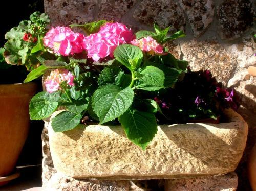 Agroturismo Casa Rural Ribera De Salobre