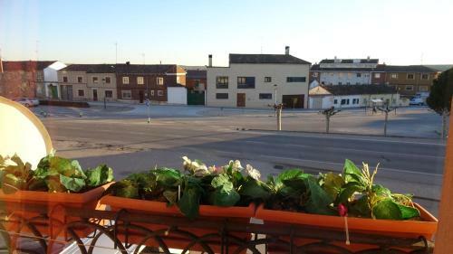 Albergue Hostal Bar Ruiz
