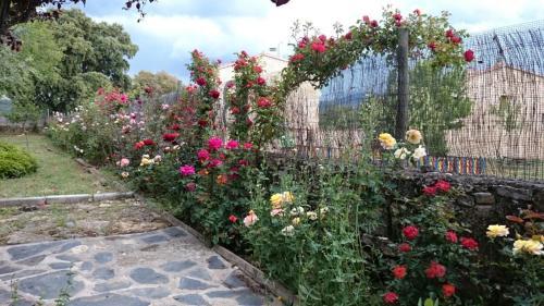 Hostal La Casona De Tamaya