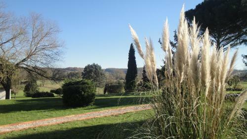 Bed & Breakfast Domaine De Poudos