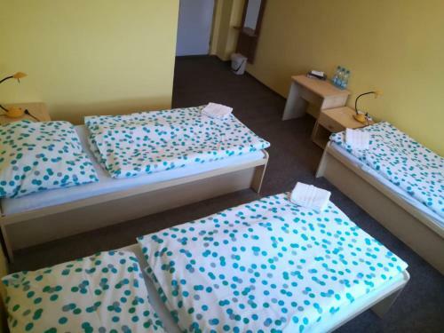 Hotel Modr� Hv?zda Sadsk�