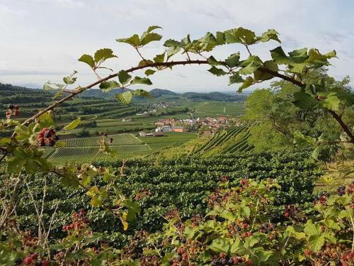 Apartamento Feriendomizil Bergamini