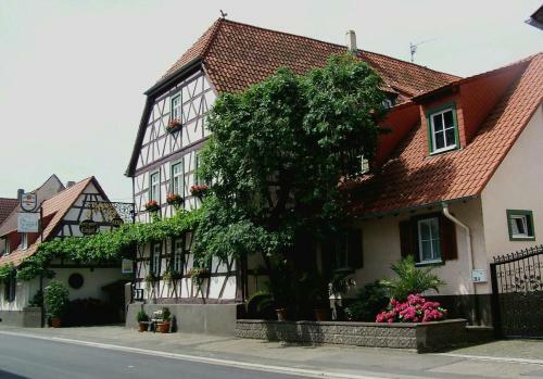 Hotel Zum Engel Speyer-r�merberg