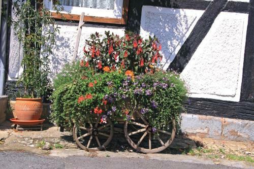 Hostal Landgasthaus Zur Eiche