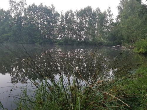 Landhotel "sumpfm�hle" Am Tharander Wald