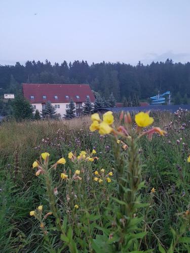 Landhotel "sumpfm�hle" Am Tharander Wald