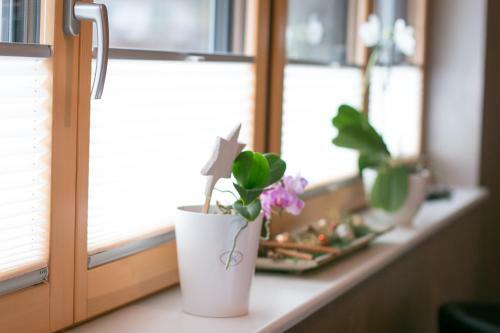 Apartamento Ferienwohnungen Talblick
