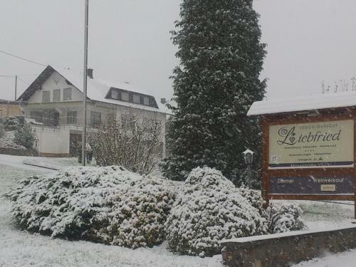 Hostal Ferienweingut-liebfried