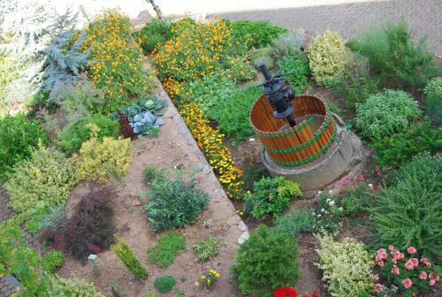 Hostal Ferienweingut-liebfried