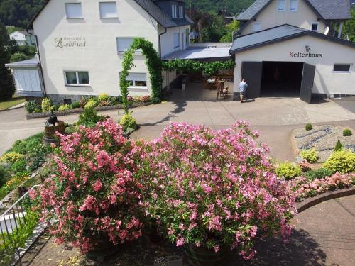 Hostal Ferienweingut-liebfried