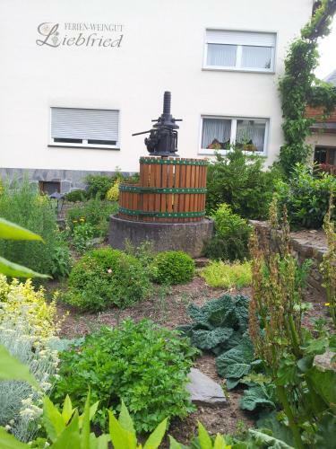 Hostal Ferienweingut-liebfried