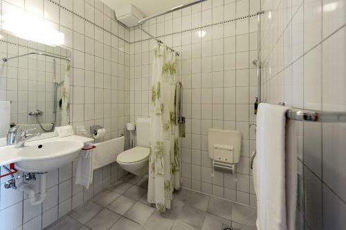 Hotel H�tel Des Mosaiques