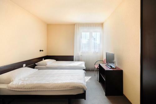 Hotel H�tel Des Mosaiques