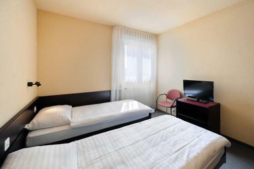 Hotel H�tel Des Mosaiques