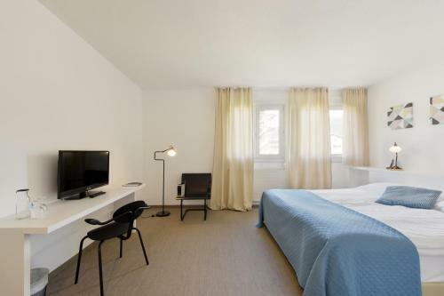 Hotel H�tel Des Mosaiques