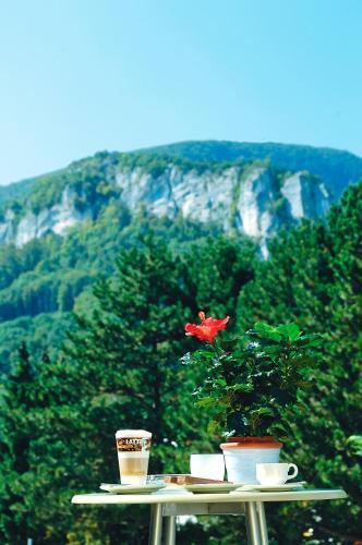 Hotel Rondo