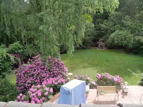 Bed & Breakfast Villa K�kenkamp