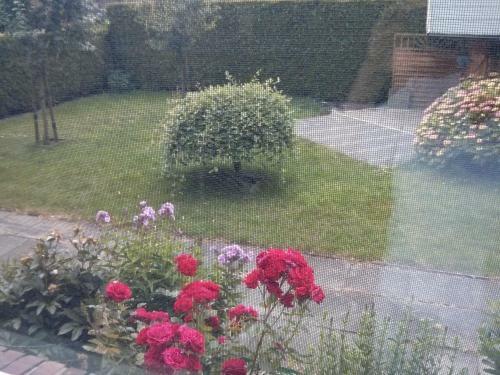 G�stehaus St�vchen Haus S�dwind