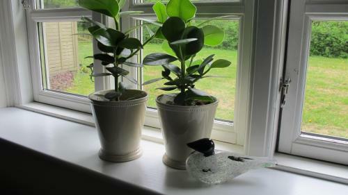 Birkende Bed And Breakfast