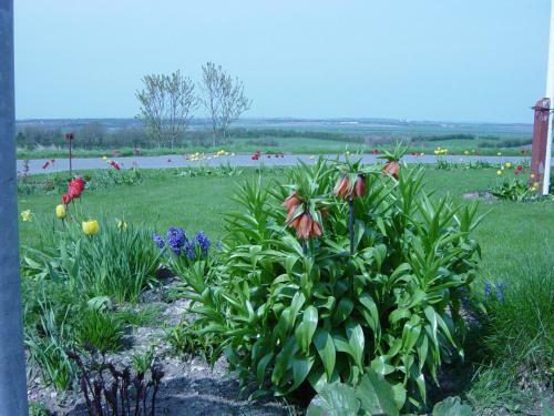 Bed & Breakfast Kardybvej 8