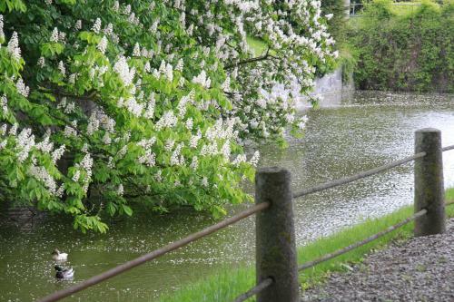 Bed & Breakfast Vemmetofte Pr�steg�rd