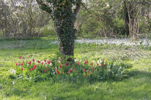 Bed & Breakfast Vemmetofte Pr�steg�rd