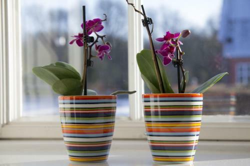 Bed & Breakfast Vemmetofte Pr�steg�rd