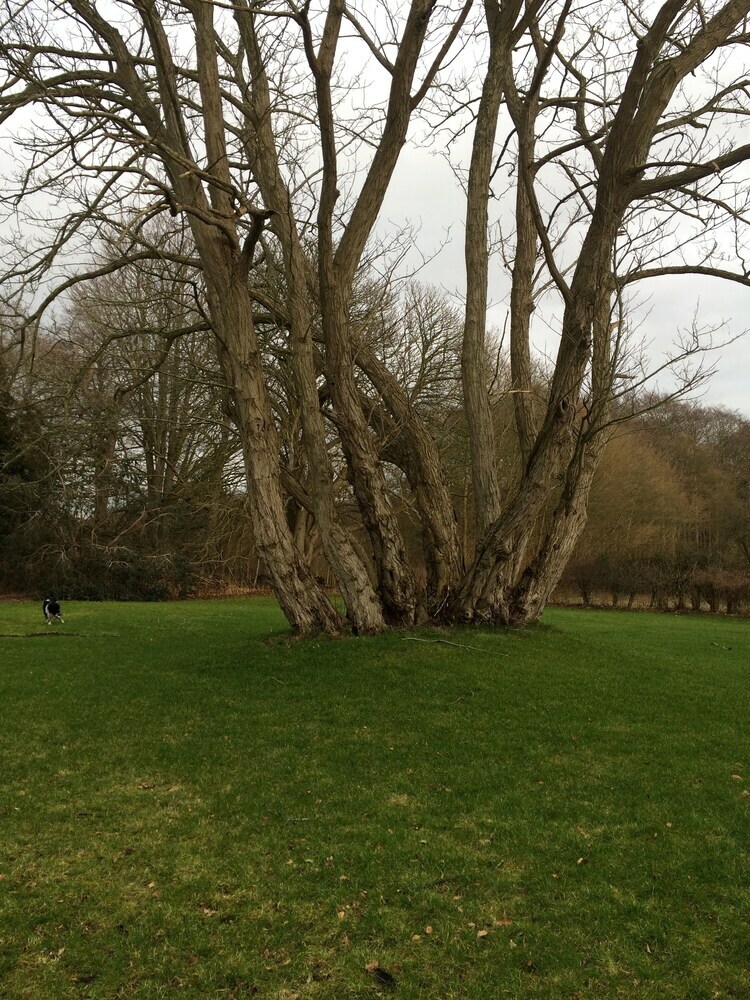 Bed & Breakfast �bjerggaard