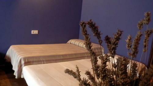Agroturismo Izpiliku