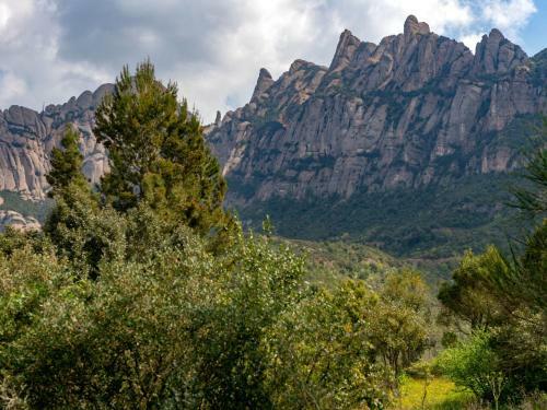 Holiday Home Cal Quinti