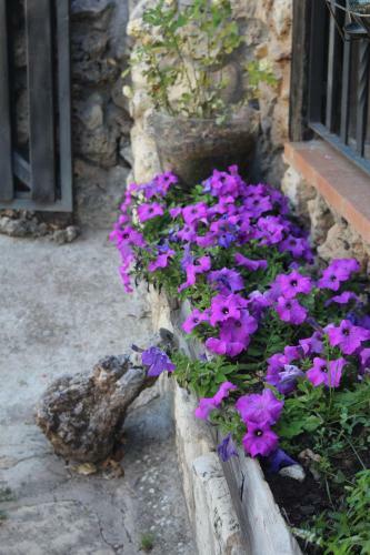 Apartamento Alojamientos Turisticos La Utrera