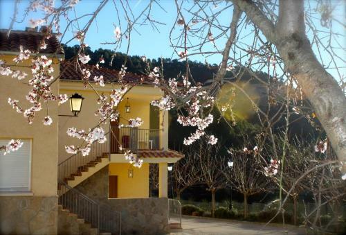 Apartamentos Rurales Casas De Haches