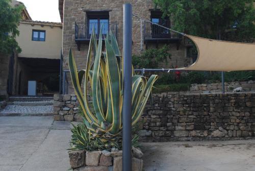 Agroturismo Guara Rural