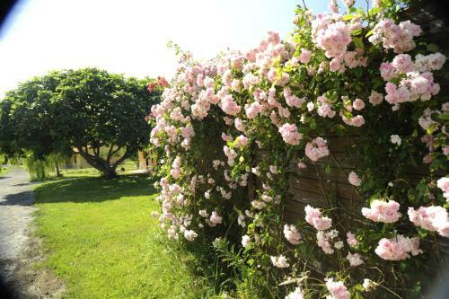 Agroturismo El Mirador Ovio