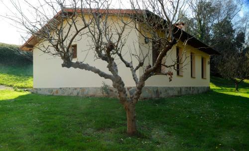 Agroturismo El Mirador Ovio