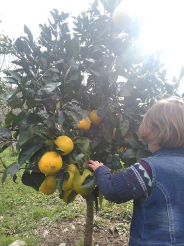 Agroturismo La Casona De Belmonte